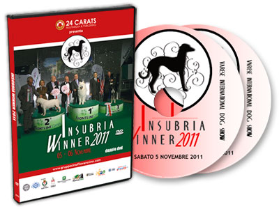 Insubria Winner 2011