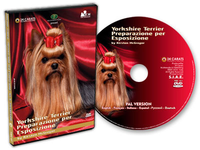 Yorkshire Terrier - Preparazione per Esposizione